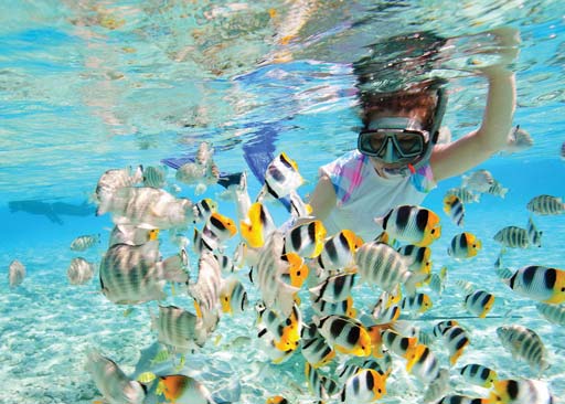 Girl snorkling